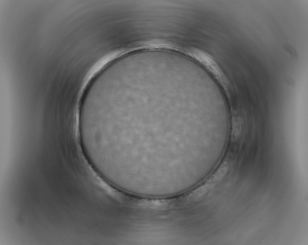 X0000113241286200910011318