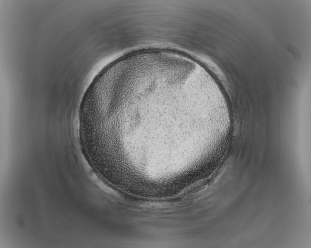 X0000113241287200910011318