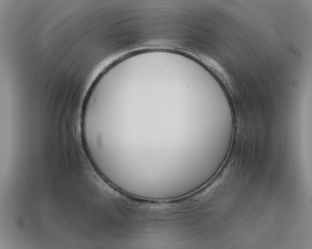 X0000113241288200910011318