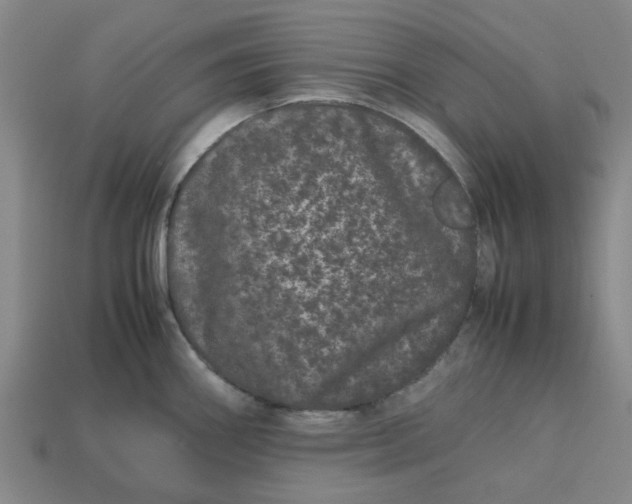 X0000113241290200910011318