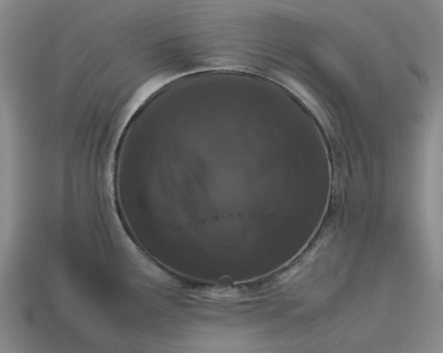 X0000113241291200910011318