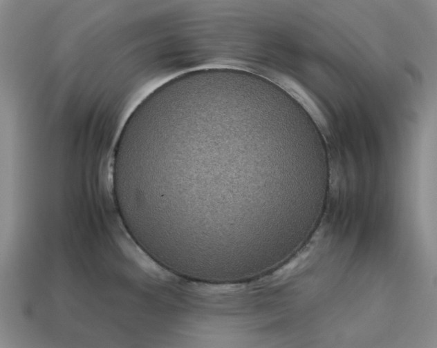 X0000113241292200910011318