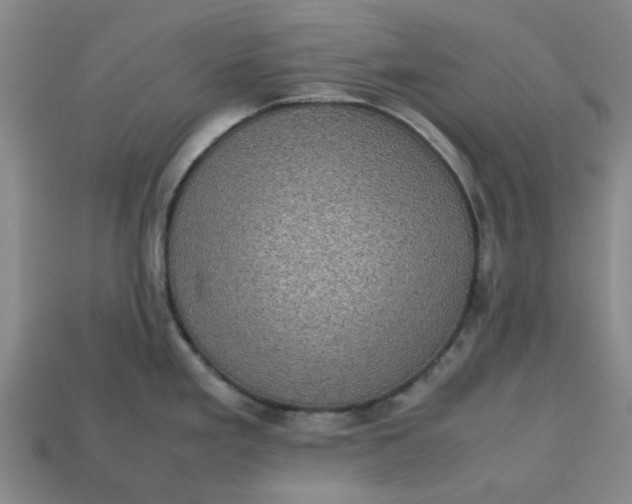 X0000113241293200910011318