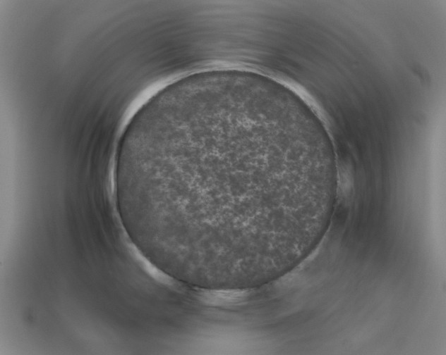 X0000113241294200910011318