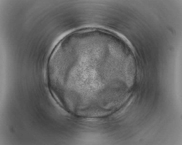 X0000113241295200910011318