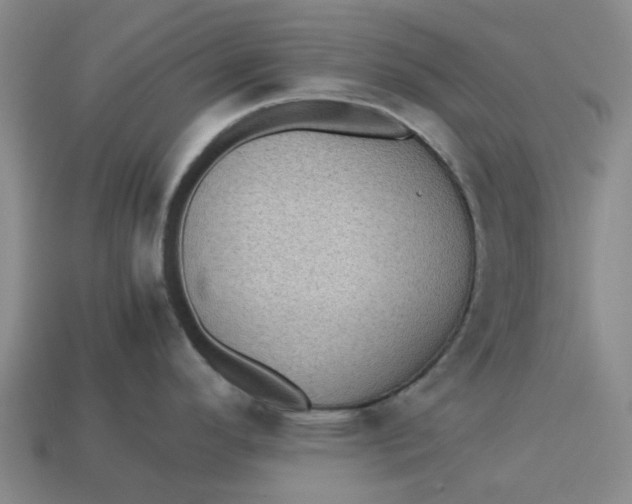 X0000113241296200910011318