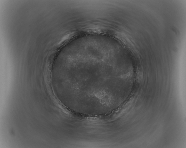 X0000113241297200910011318