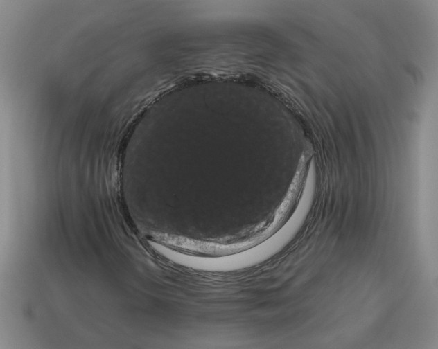 X0000113241298200910011318