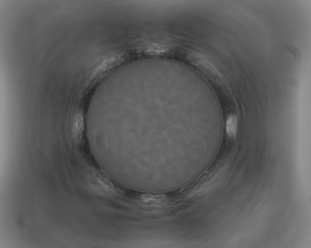 X0000113241299200910011318