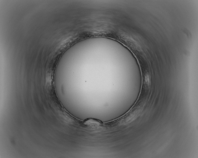 X0000113241300200910011318