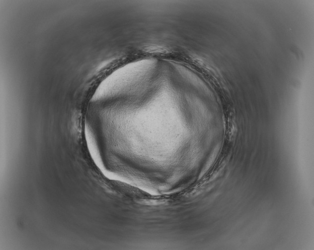 X0000113241301200910011318