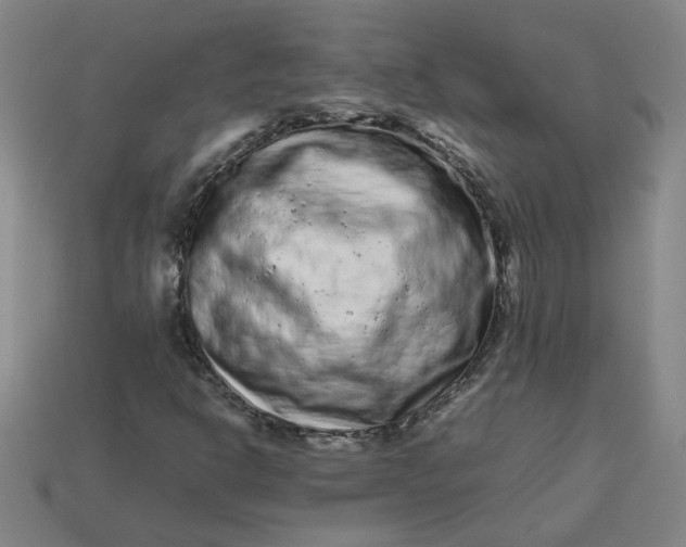 X0000113241302200910011318