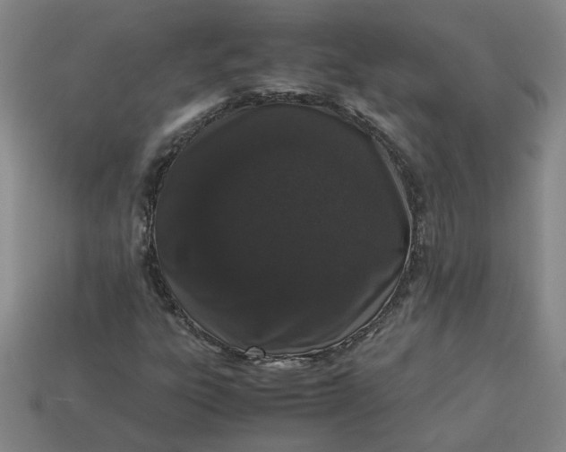 X0000113241303200910011318