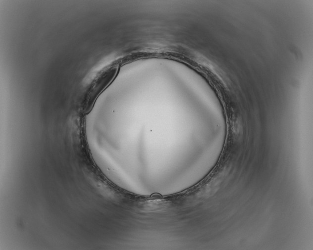 X0000113241304200910011318