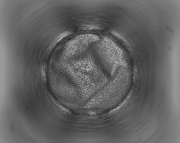 X0000113241305200910011318