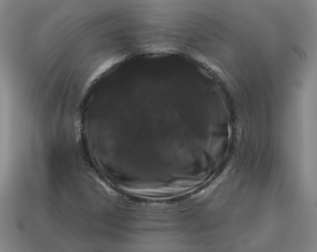 X0000113241306200910011318