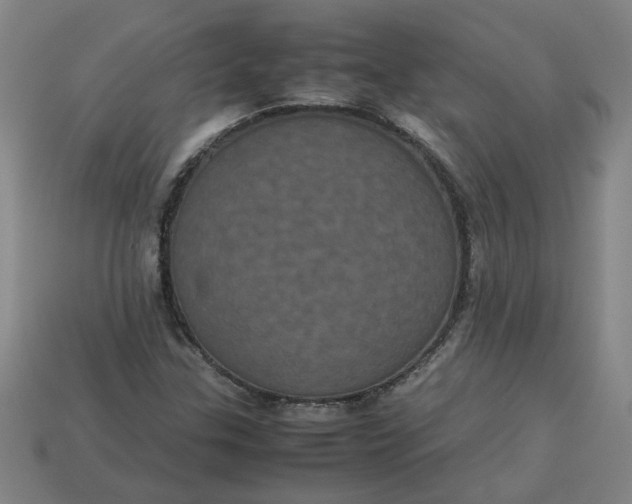 X0000113241307200910011318