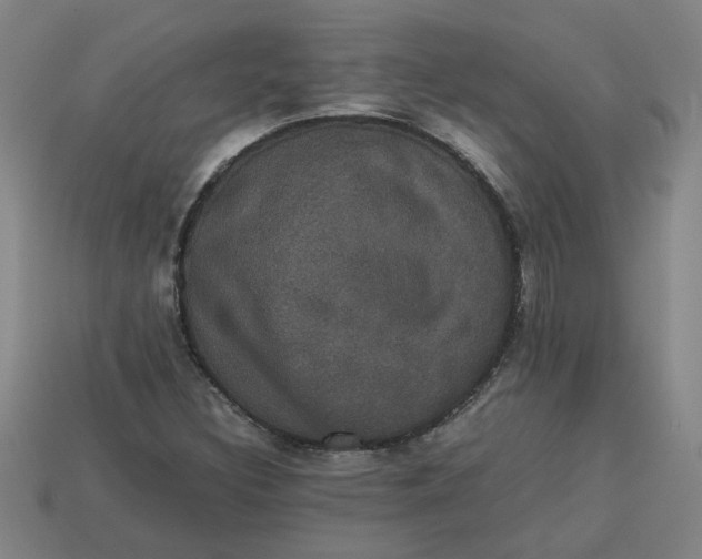 X0000113241308200910011318