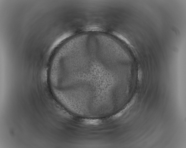 X0000113241309200910011318