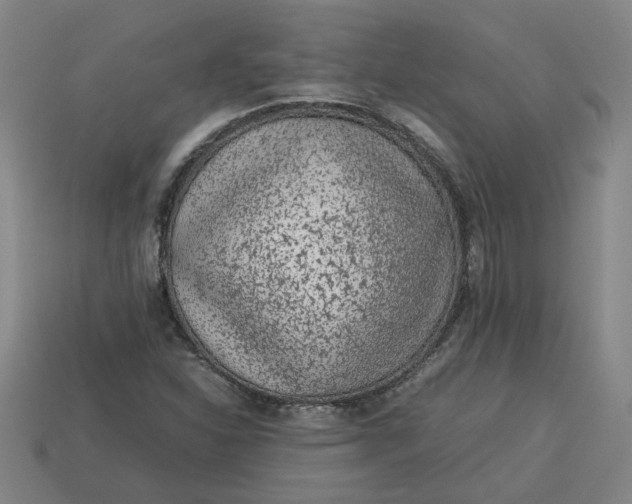 X0000113241310200910011318