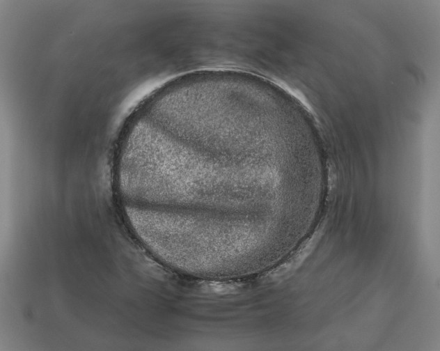 X0000113241311200910011318