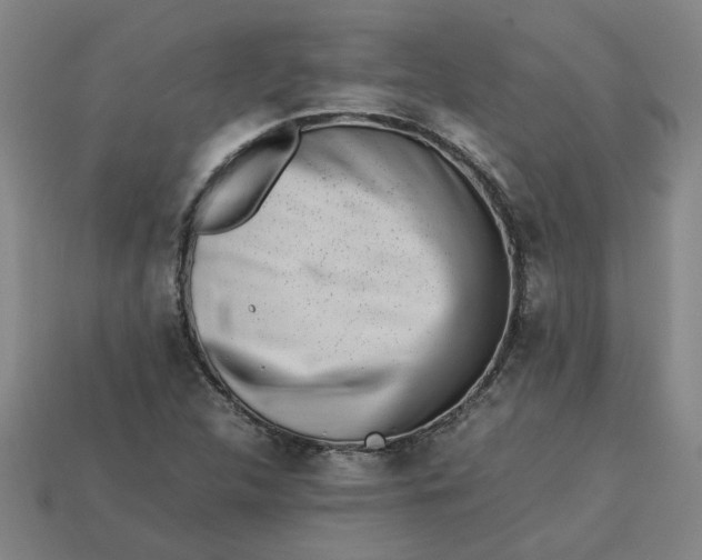 X0000113241312200910011318