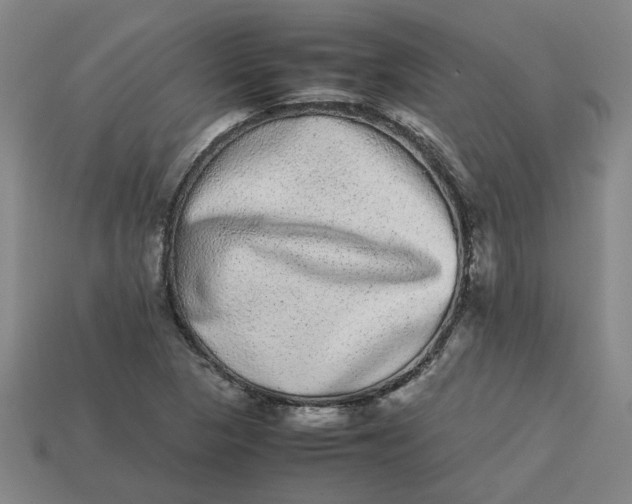 X0000113241313200910011318