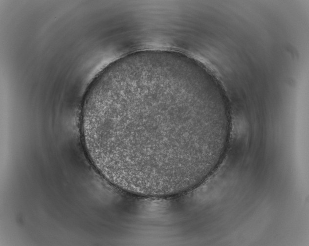 X0000113241314200910011318