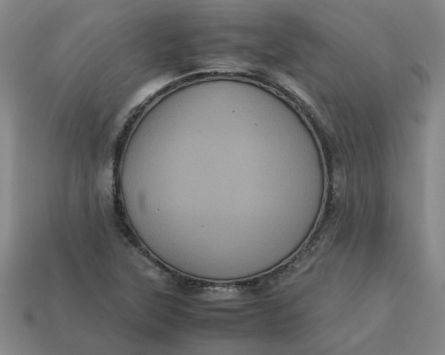 X0000113241315200910011318