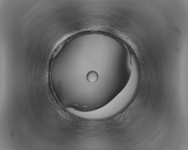 X0000113241316200910011318