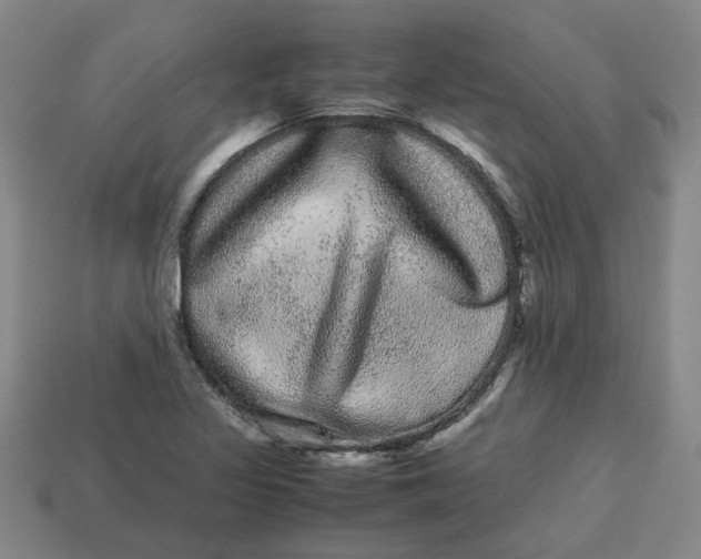 X0000113241317200910011318