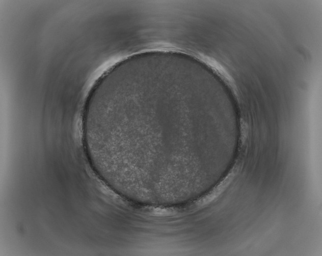 X0000113241318200910011318