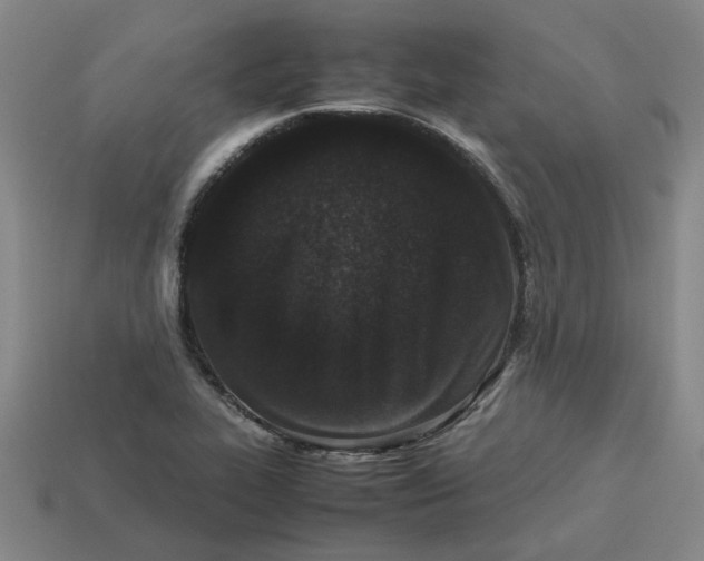 X0000113241319200910011318