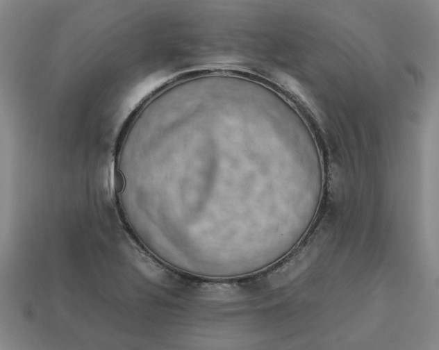 X0000113241320200910011318