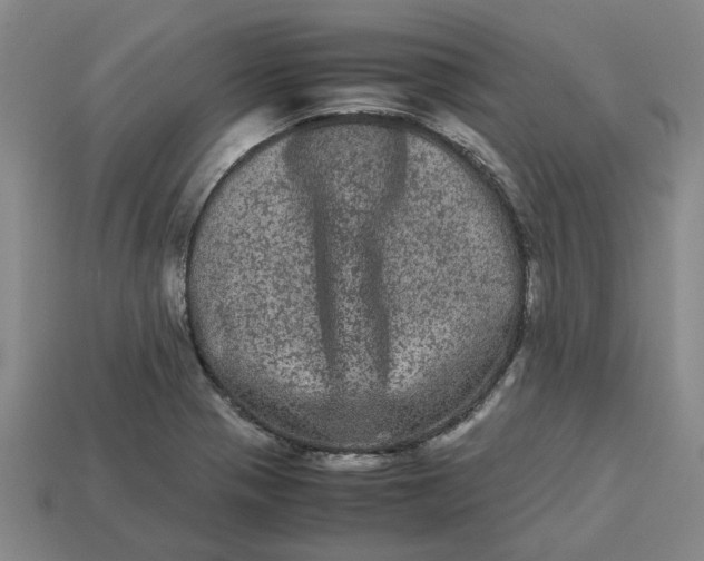 X0000113241321200910011318