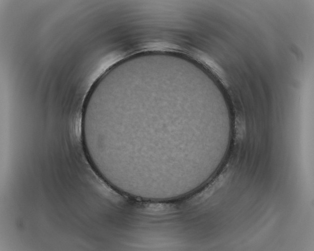 X0000113241322200910011318