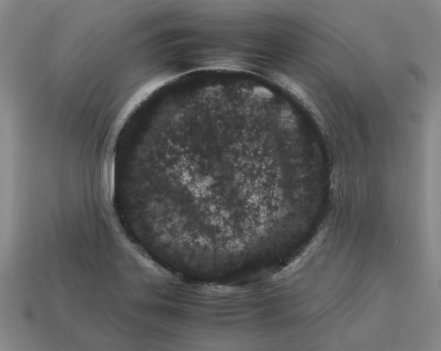 X0000113241323200910011318