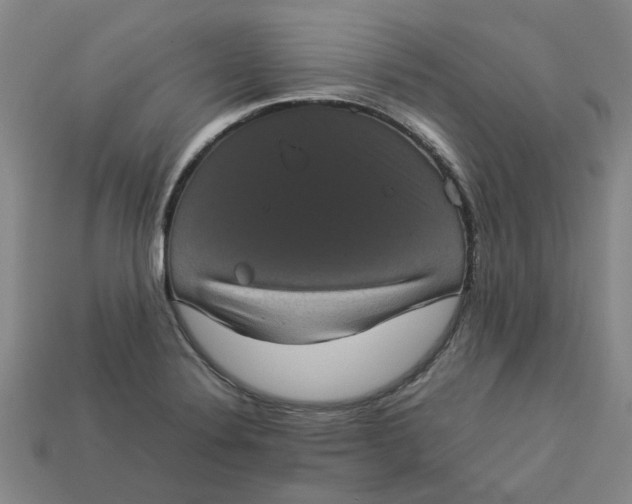 X0000113241324200910011318