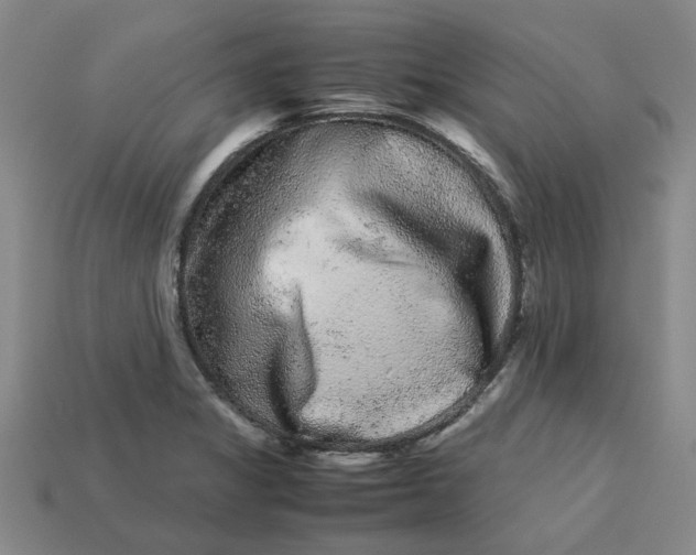 X0000113241325200910011318