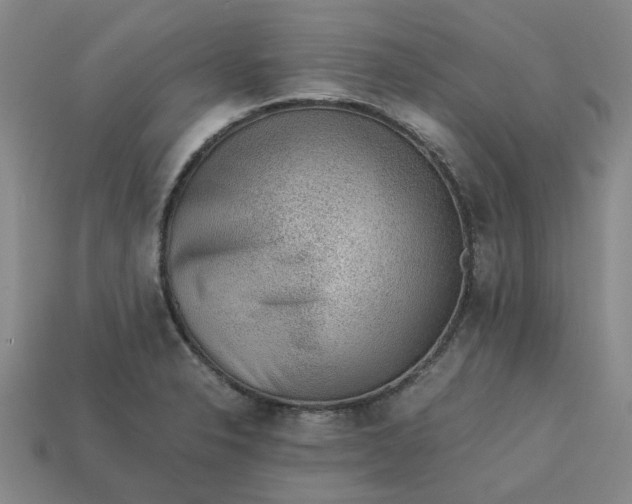 X0000113241326200910011318