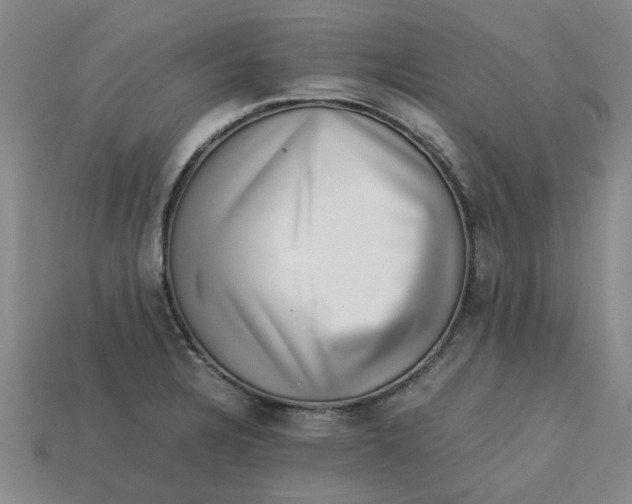 X0000113241328200910011318