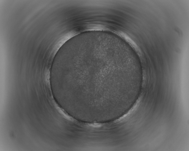 X0000113241329200910011318