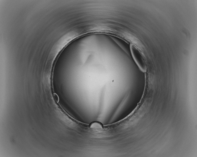 X0000113241330200910011318