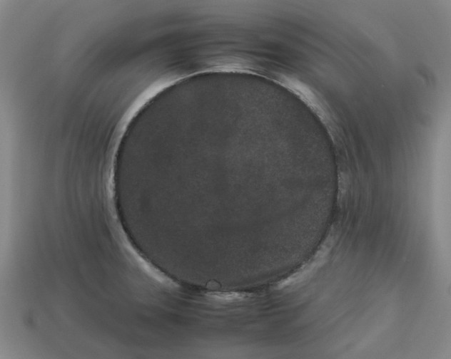 X0000113241331200910011318