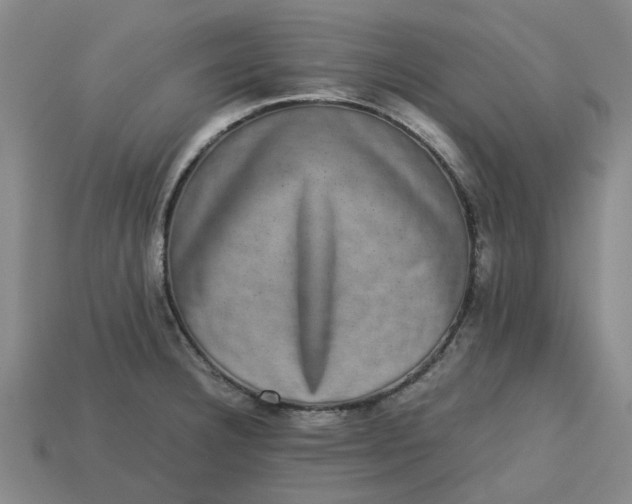 X0000113241332200910011318