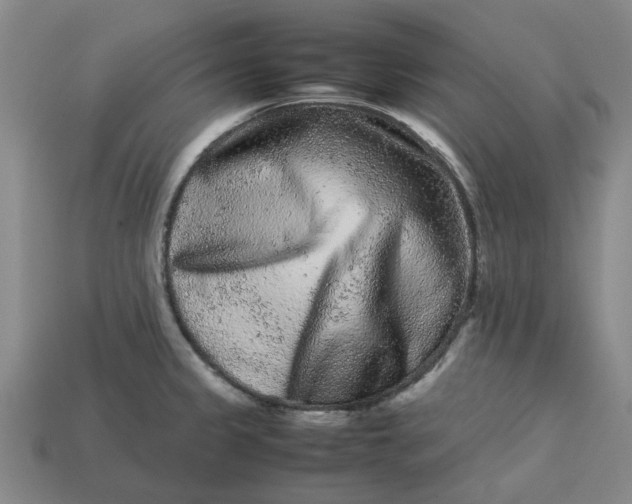 X0000113241333200910011318