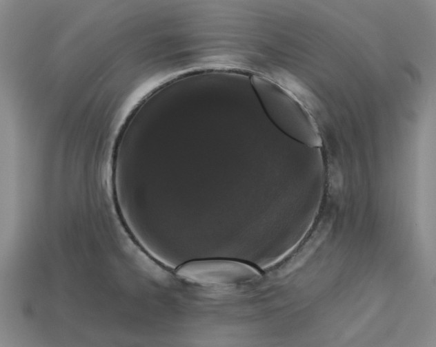 X0000113241334200910011318