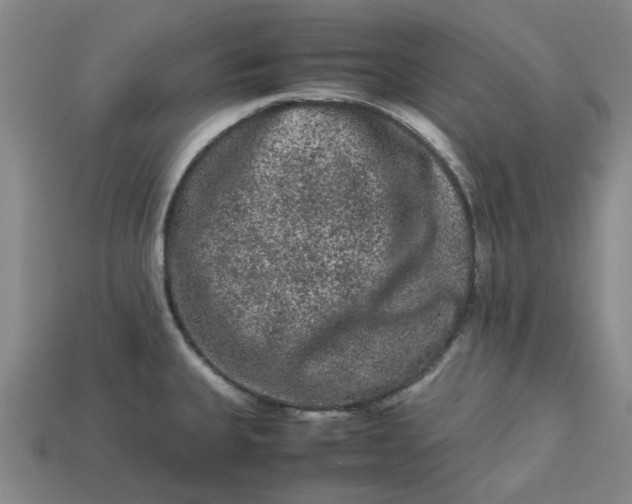 X0000113241335200910011318