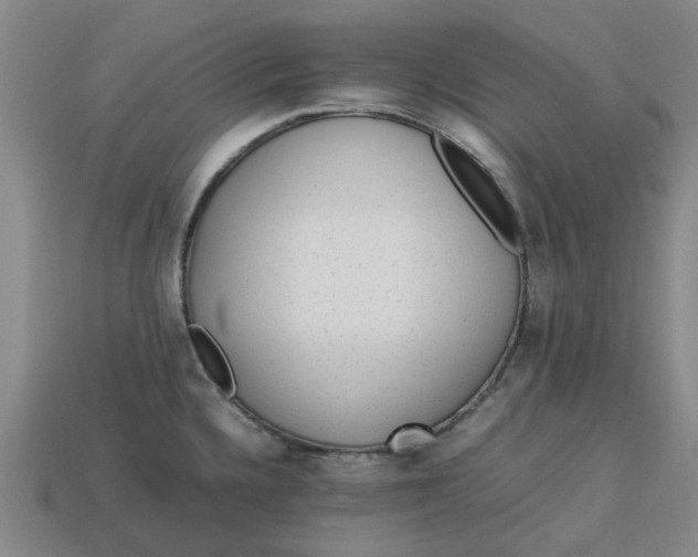 X0000113241336200910011318