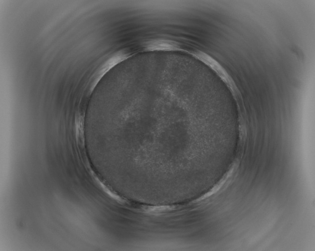 X0000113241337200910011318